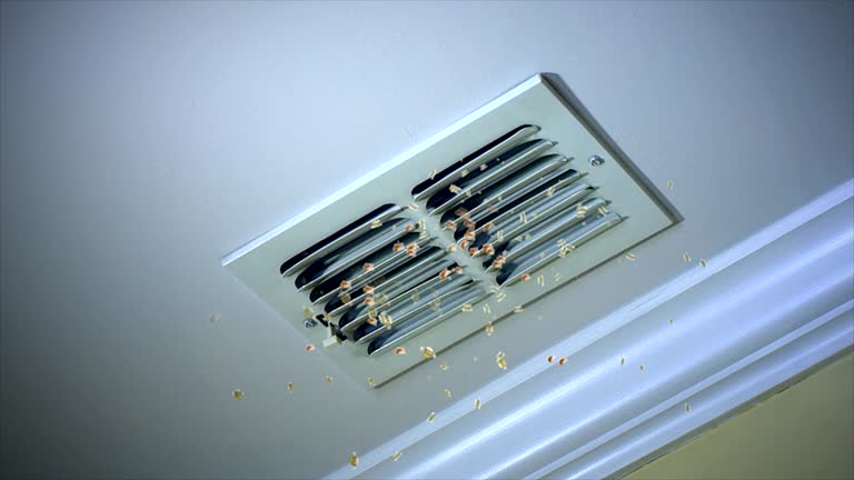 Best Air Duct Cleaning Near Me  in Warrenton, GA